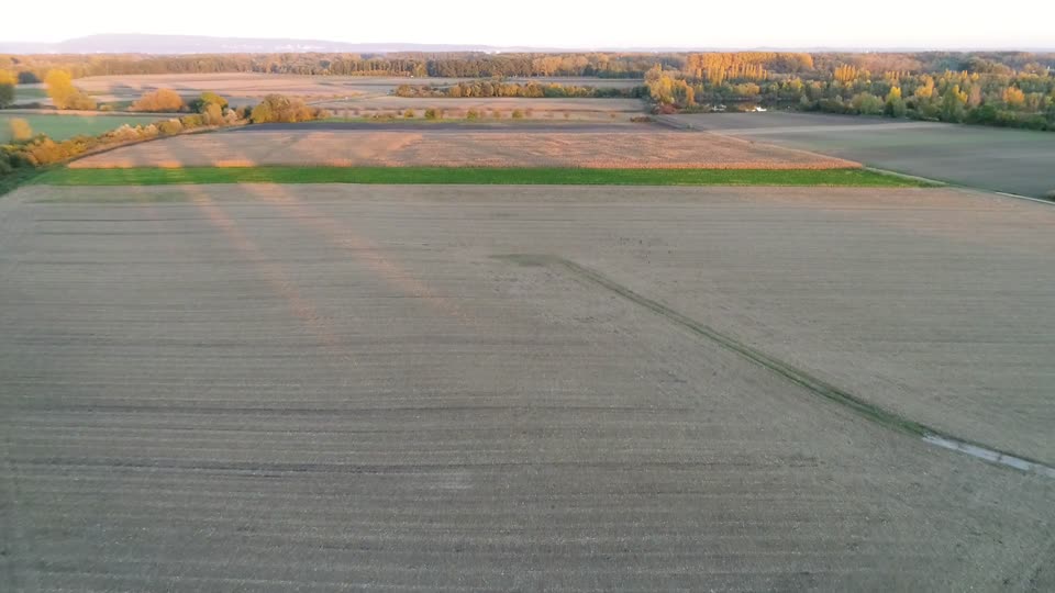 Field sunset drone