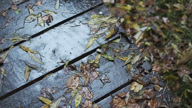 Boots shoes rain