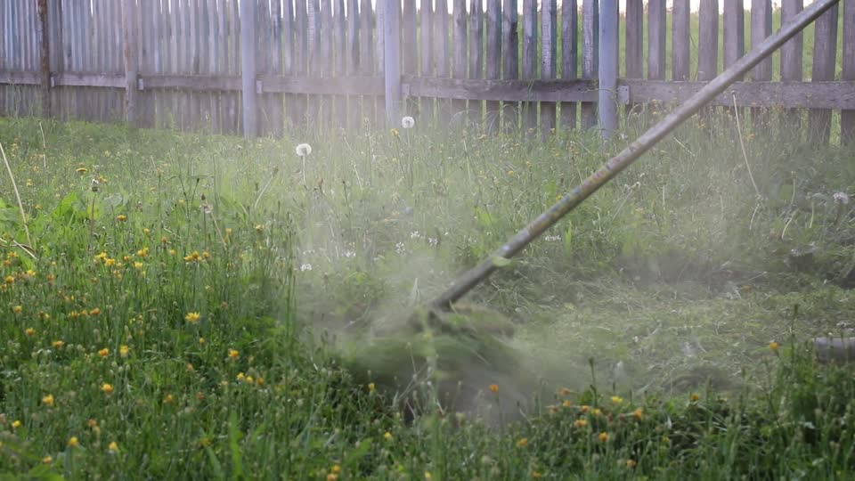 Trimmer lawnmower lawn