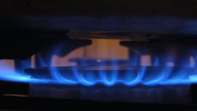 Fire blue plate