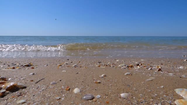 Sea sand wave