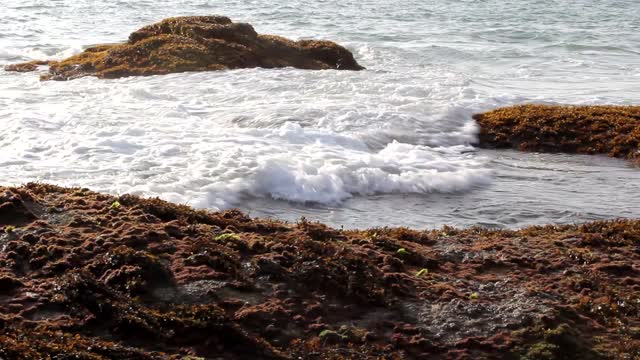 Ocean water sea