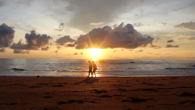 Beach sea ocean