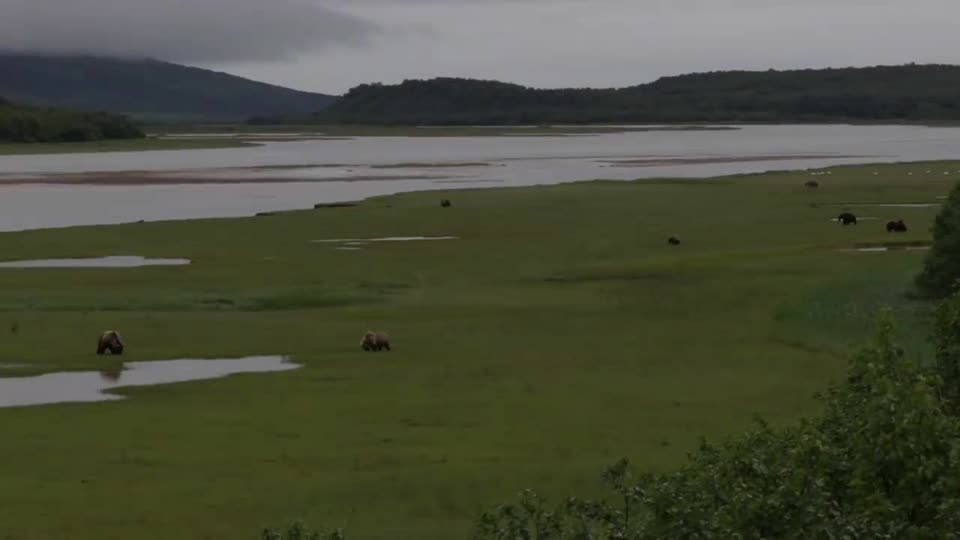Coastal Biologist on Sedge Meadows NPS Video/Josh Palau