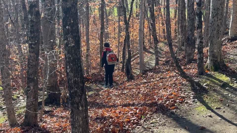 Cleaning Nordic Heritage Village Trails