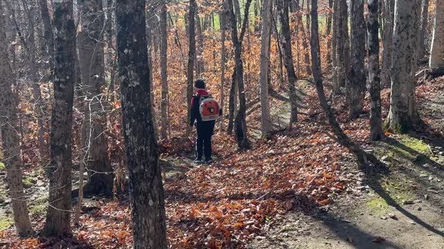Cleaning Nordic Heritage Village Trails