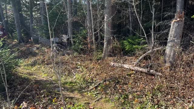 Cleaning Nordic Heritage Village Trails