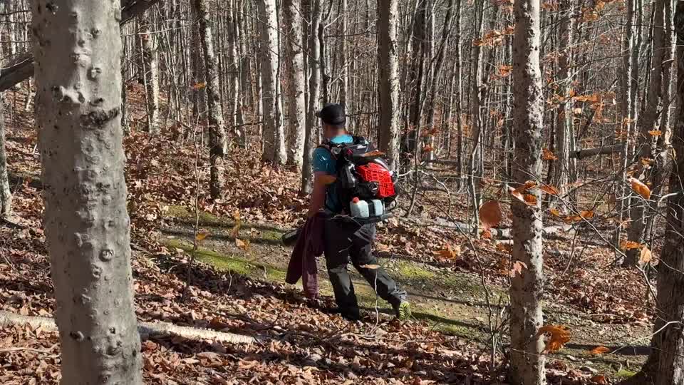 Cleaning Nordic Heritage Village Trails