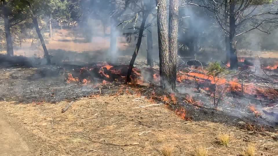 David Canyon Prescribed Fire