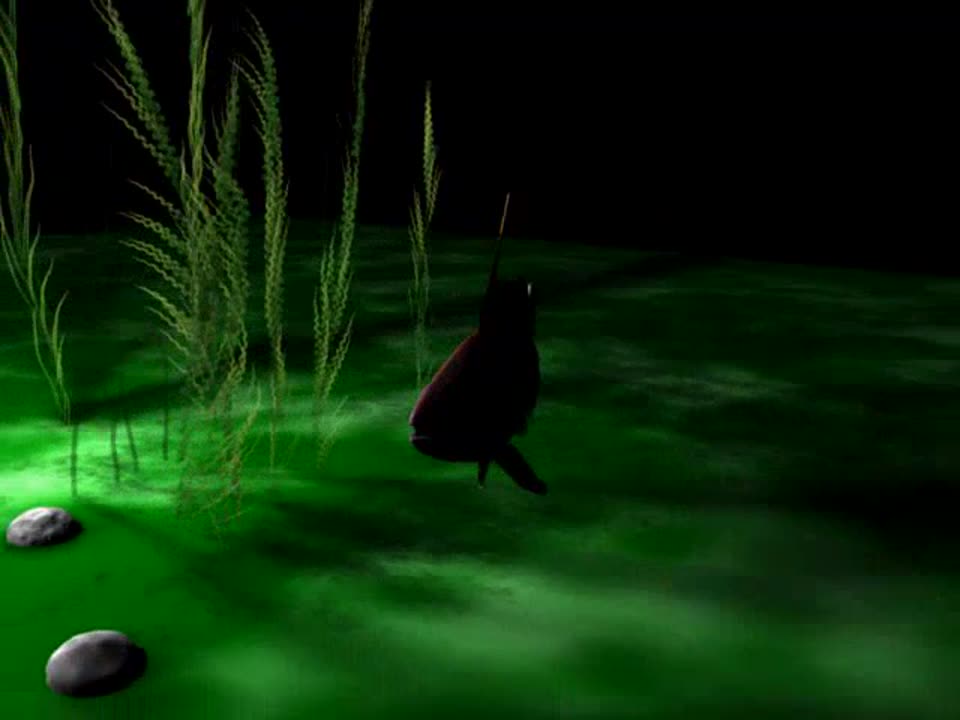 fishanimation