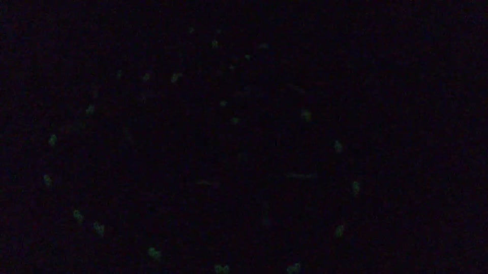 MOV_0478