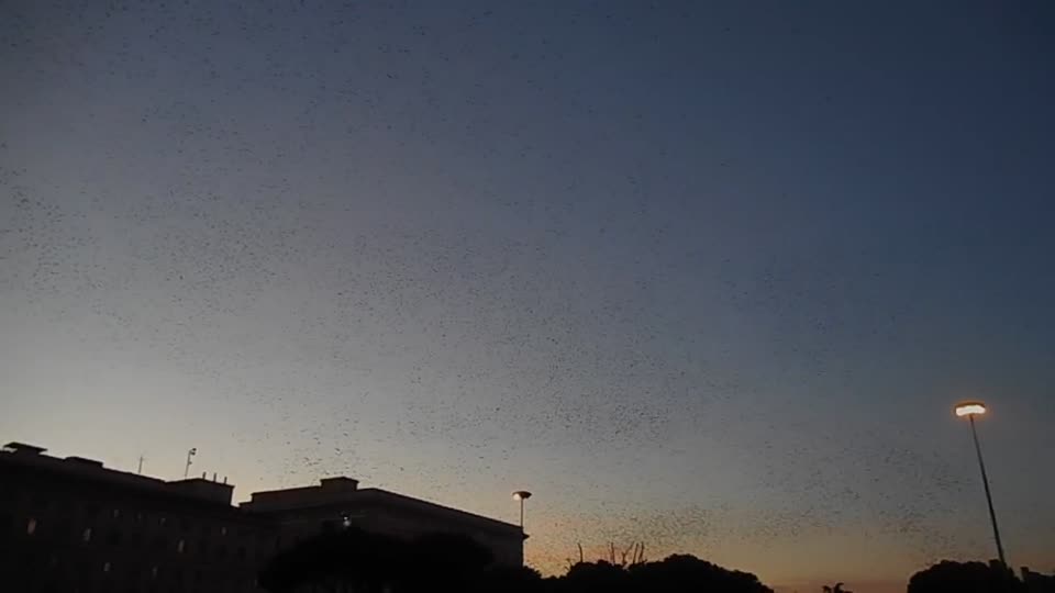 In the sky of Rome