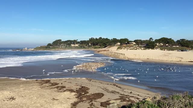 California King Tide/Carmel River Beach/Carmel River Lagoon