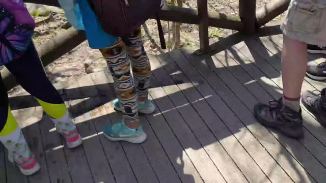 Girl Scouts at Rapidan Camp