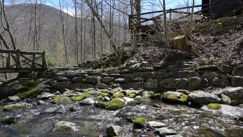 Laurel Prong Creek