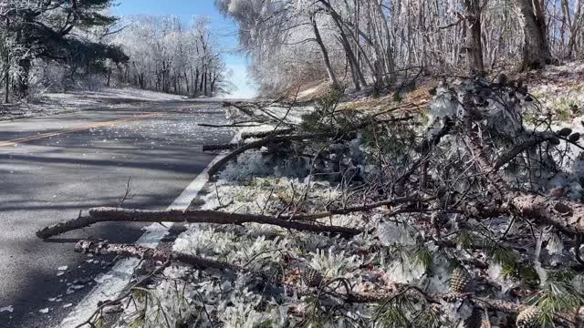Ice Storm 2022_Tilt up of icy landscape near Skyland