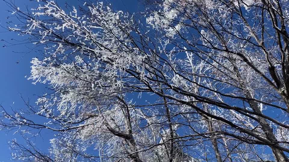Ice Storm 2022_Pan of icy landscape near Skyland