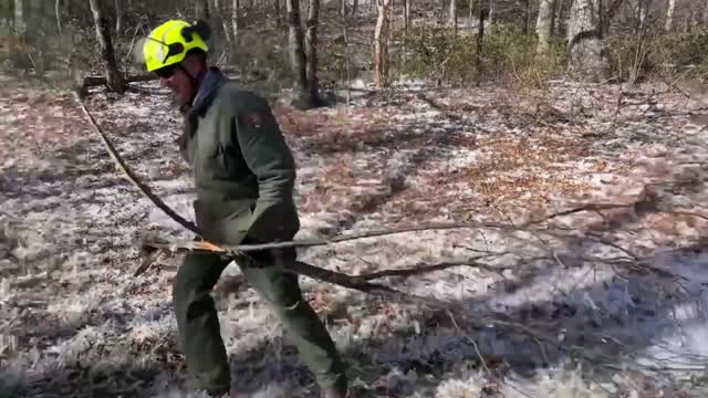 Ice Storm 2022_downed trees cleanup