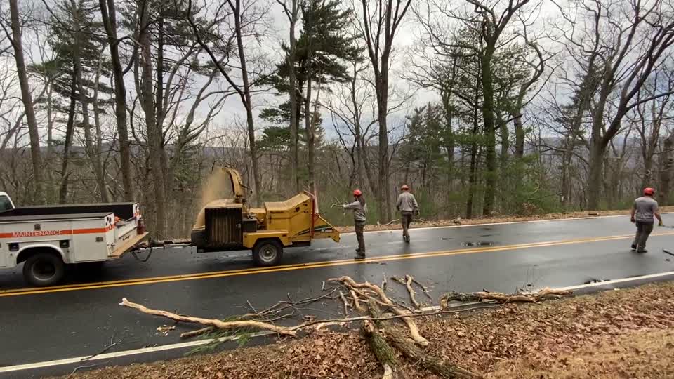 Ice Storm 2022: Skyline Drive Clearing