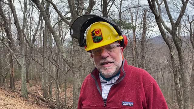 Ice Storm 2022: Wayne Lindberg