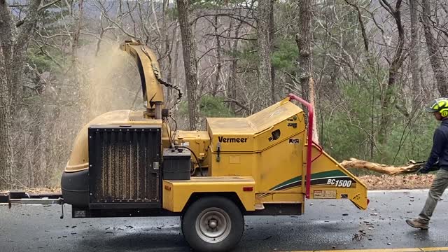 Ice Storm 2022: Skyline Drive Clearing