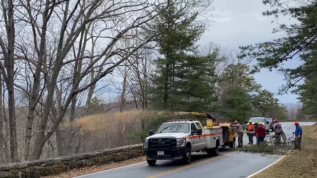 Ice Storm 2022: Skyline Drive Clearing