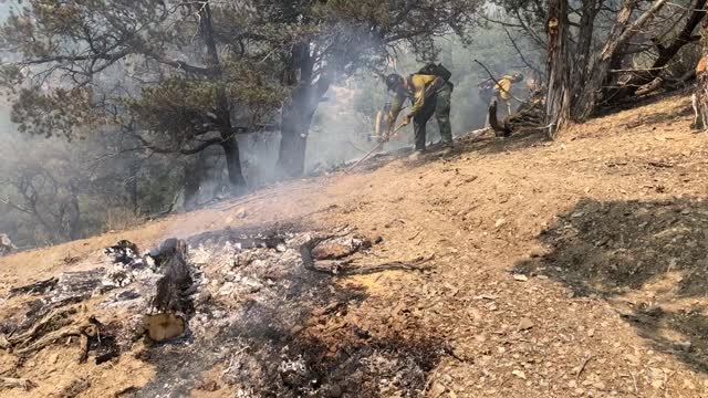 Ruby Mountain Crew cutting fire line in Division W