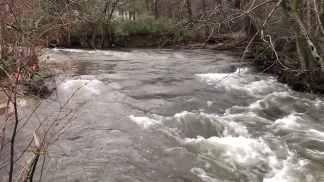 Scotts Creek, Sylva, NC