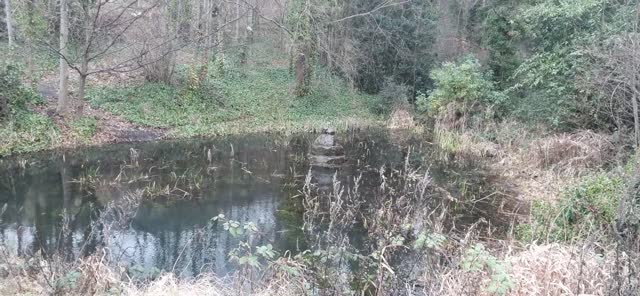 Hodgkin Park