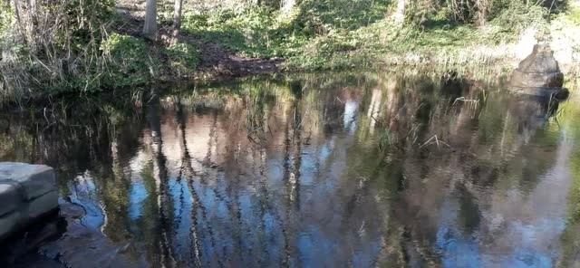 Hodgkin Park