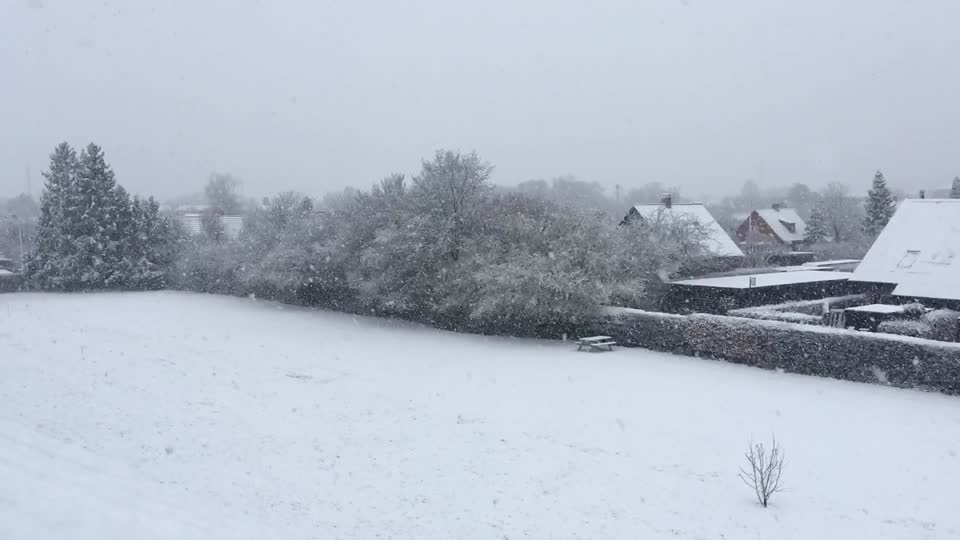 Snowy Day in March