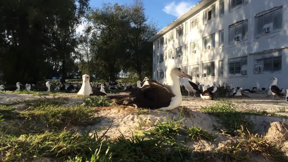 VIDEO:Wisdom's Mate 1.21.16