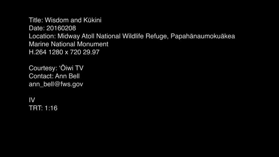 20160209_Midway_Wisdom and Kukini_VNR
