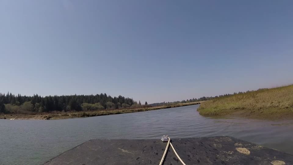 Airboat ride at Willapa Bay