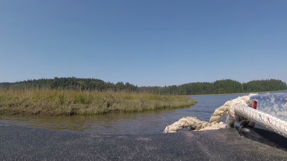 Airboat ride at Willapa Bay