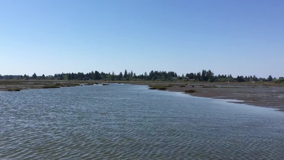 Airboat ride at Willapa Bay