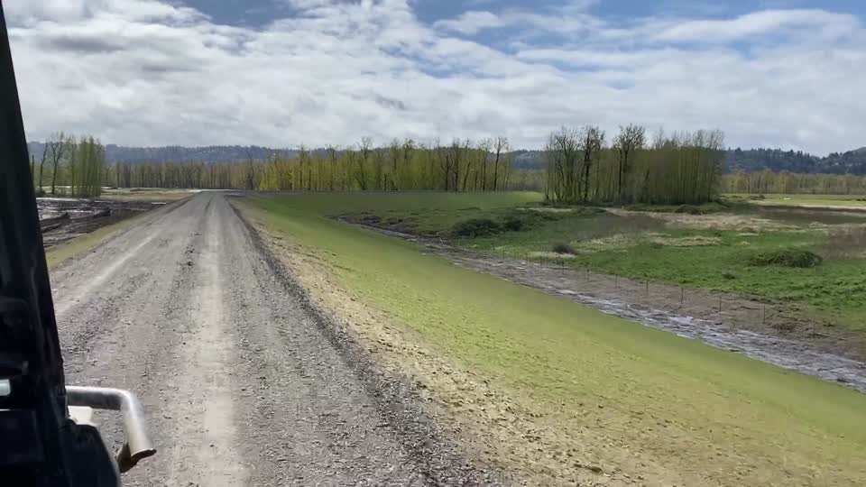 Refuge restoration at Steigerwald Lake
