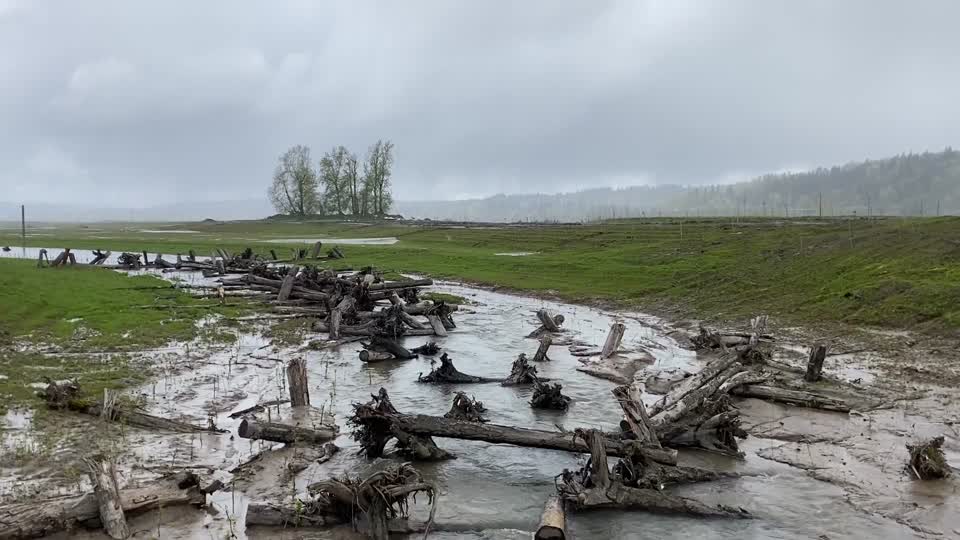 Refuge restoration at Steigerwald Lake