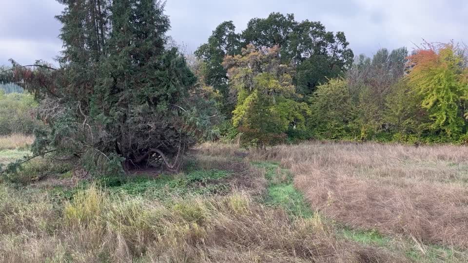 Fall morning at Ridgefield National Wildlife Refuge