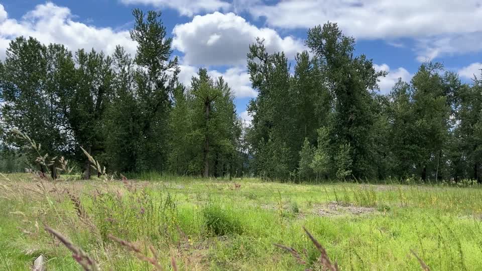 Spring at Steigerwald Lake National Wildlife Refuge