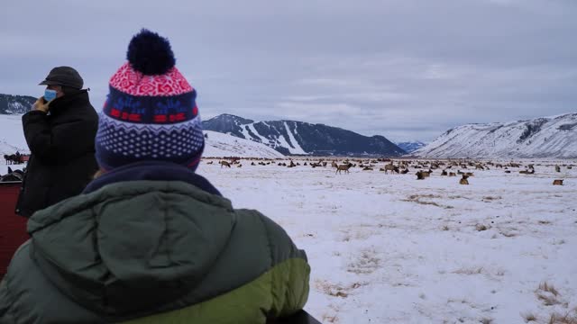 Winter Sleigh Ride