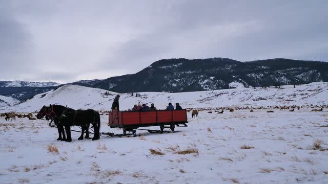 Winter Sleigh Ride
