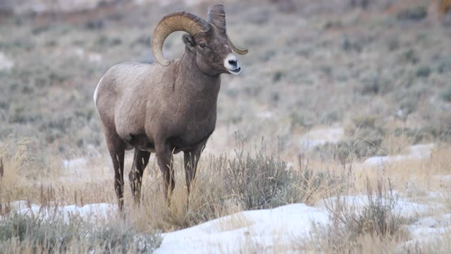 Refuge Road Wildlife Watching