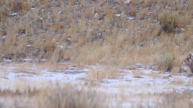 Refuge Road Wildlife Watching