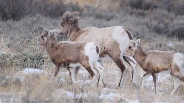 Refuge Road Wildlife Watching