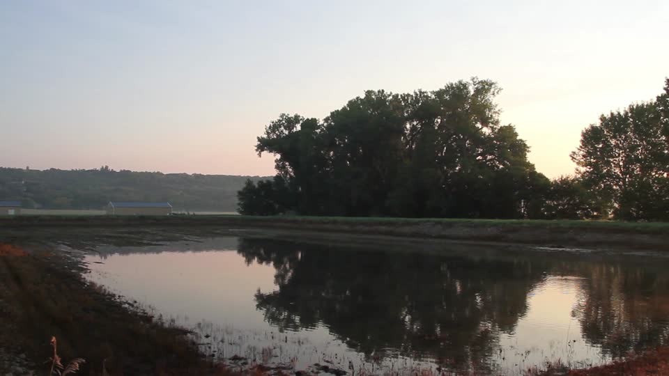 Ponds During the Summer at Gavins Point National Fish Hatchery
