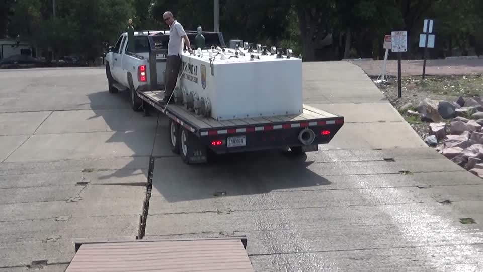 Stocking Paddlefish into the Missouri River