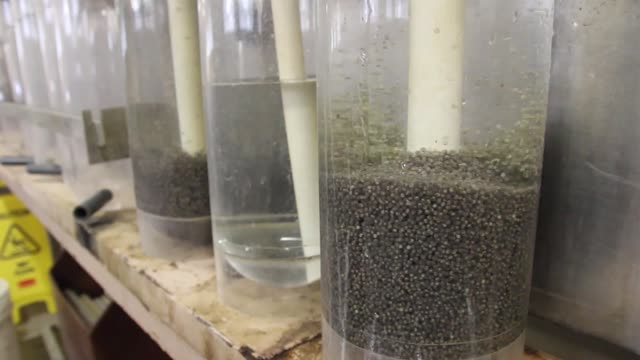 Paddlefish Hatch at Gavins Point National Fish Hatchery