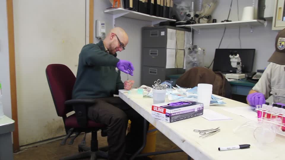 Lab Work at Gavins Point National Fish Hatchery