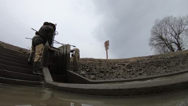 Rainbow Trout Harvest